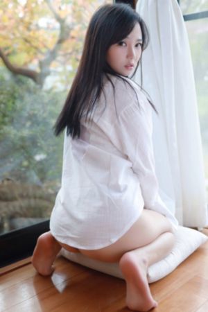 铁齿铜牙纪晓岚第三部_在线播放-手机电影免费播放