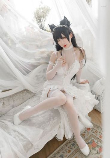 扫黑之拂晓行动在线观看完整版_蓝光超清在线观看